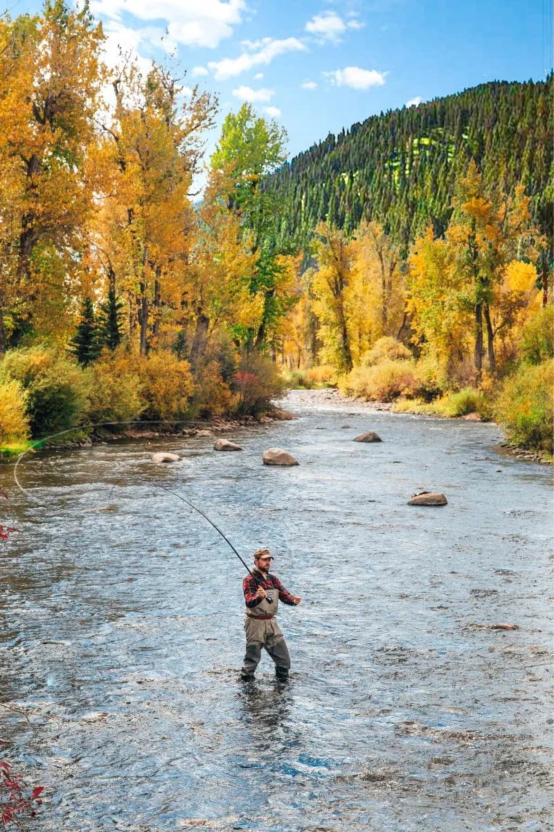 Fly fishing